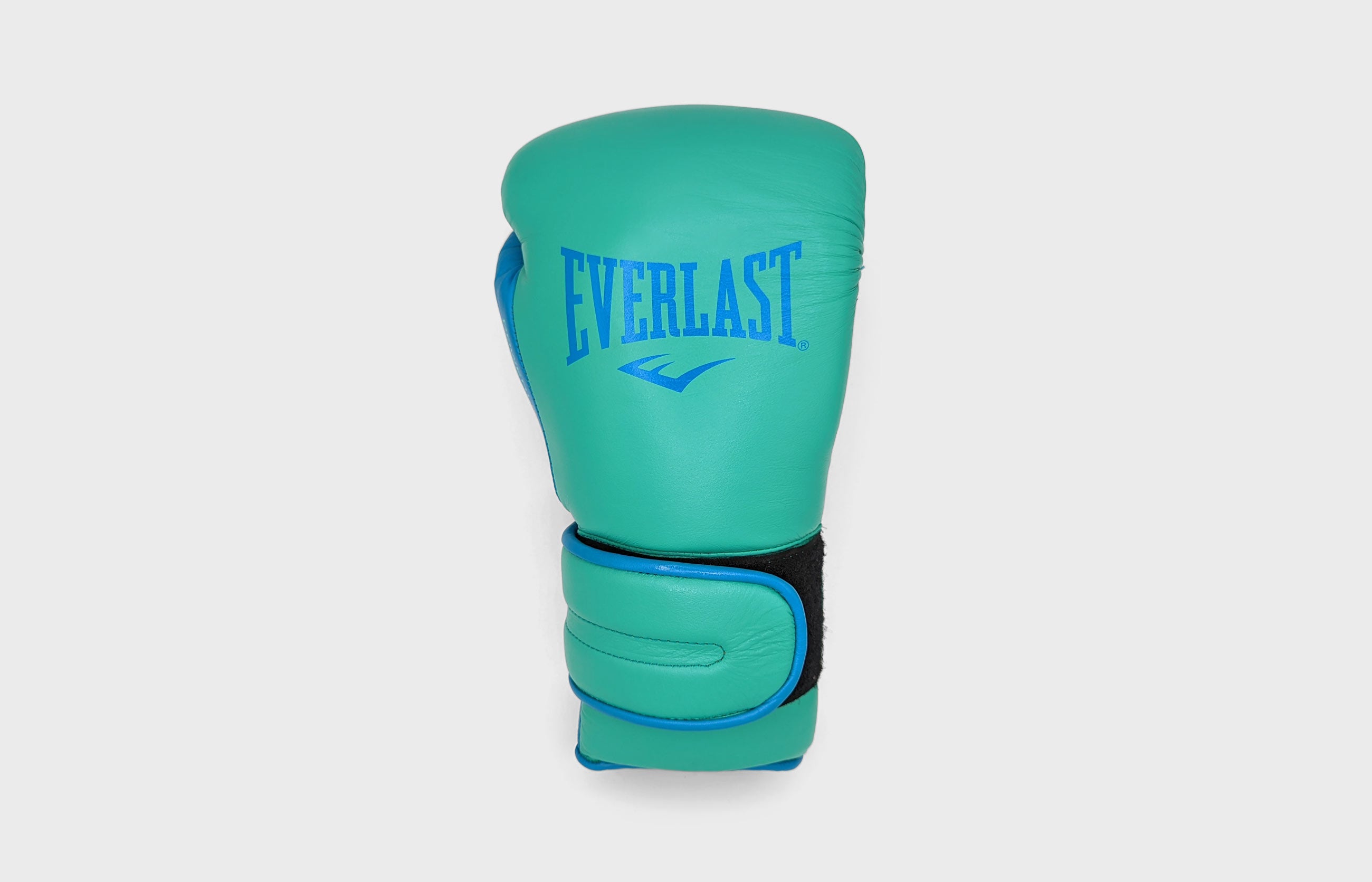 Everlast powerlock2 pro boxing glove. A teal boxing glove
