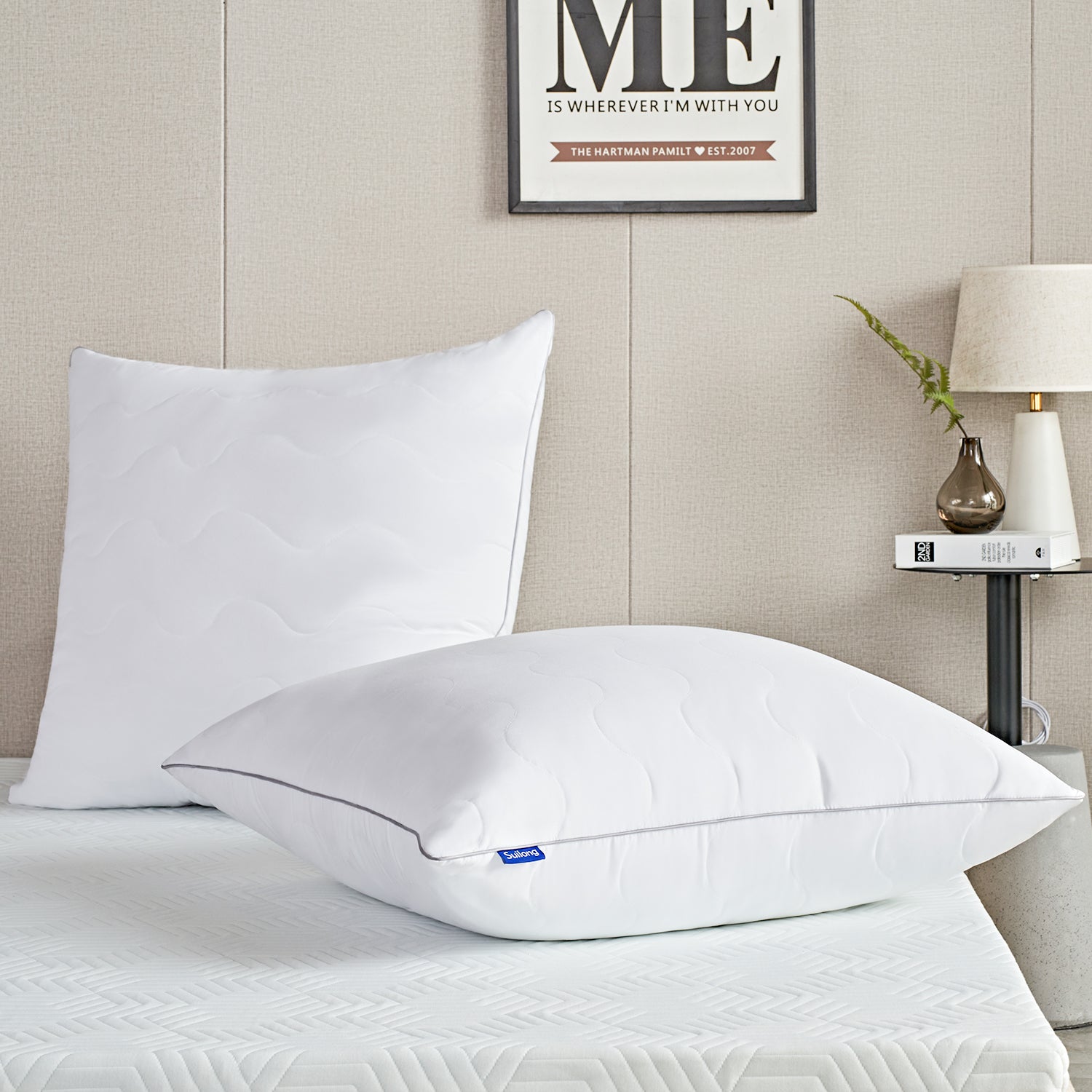 SuiLong Cushy Soft Microfiber Hypoallergenic Anti-Mite Bed Pillow 80x8