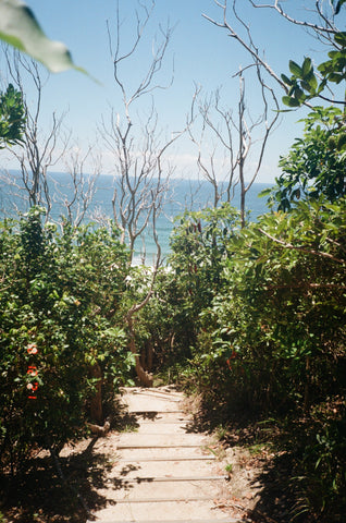 Beach Path Taken On Olympus AF10