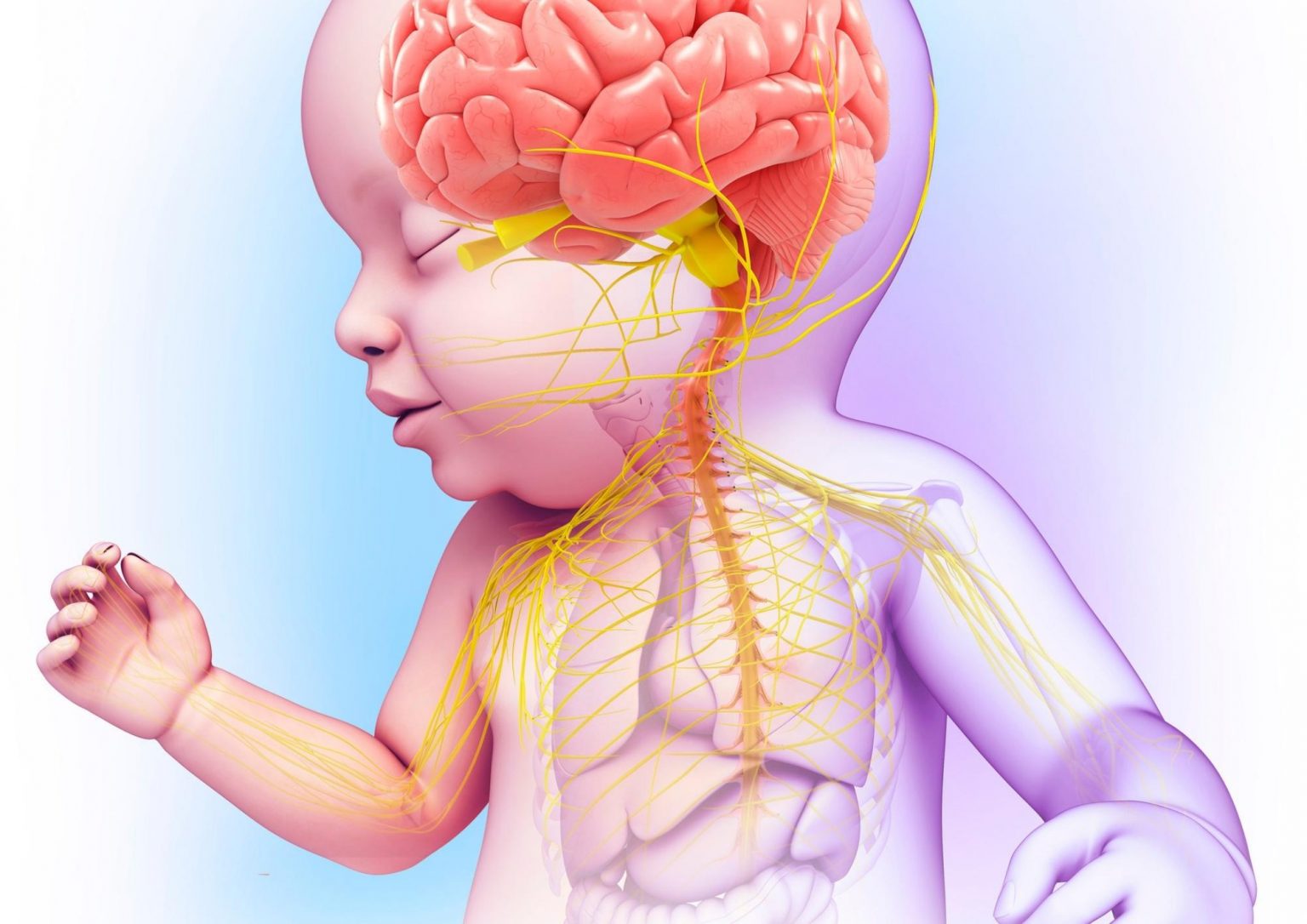 Tummy time: favorire lo sviluppo motorio e posturale dalla nascita –  Dr-Silva
