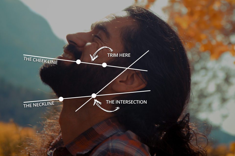 beard-diagram