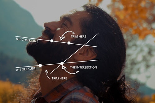 beard-diagram-chart_the-mod-cabin