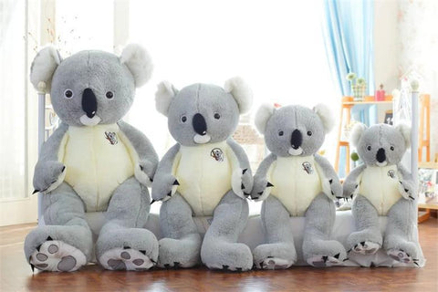 big koala bear teddy