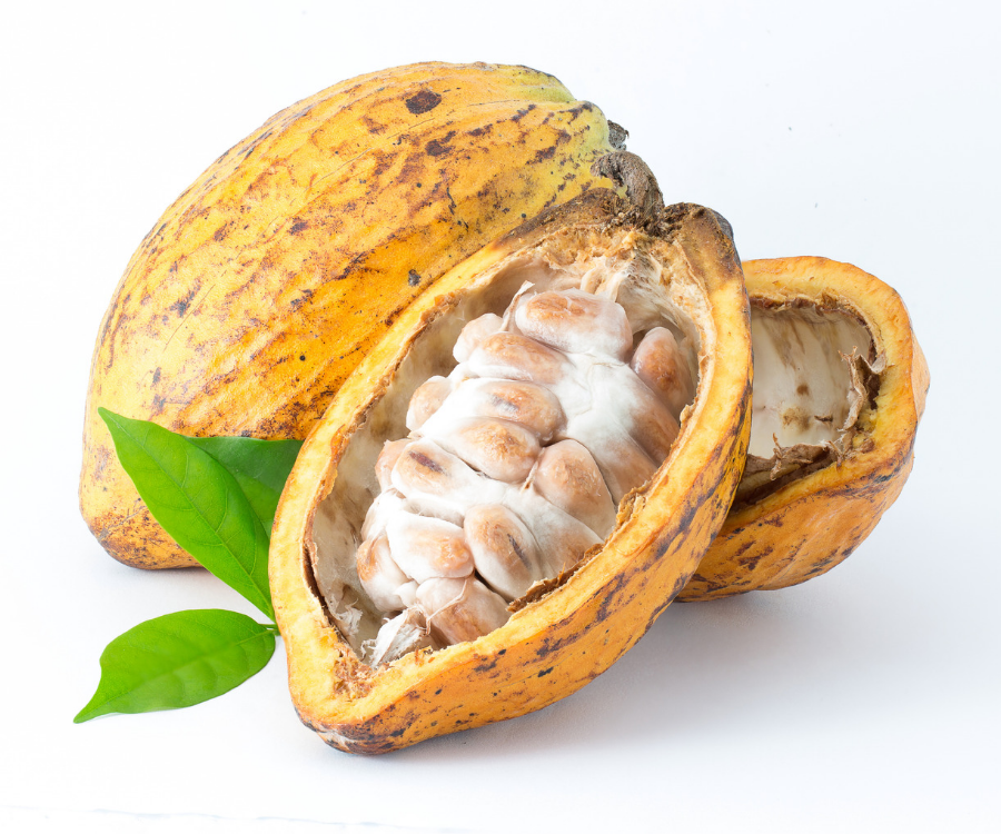 Cocoa Pod