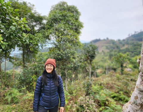 AYT Anna in Lao Cai Tea Forests