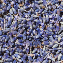 Load image into Gallery viewer, Lavender Buds (dried)
