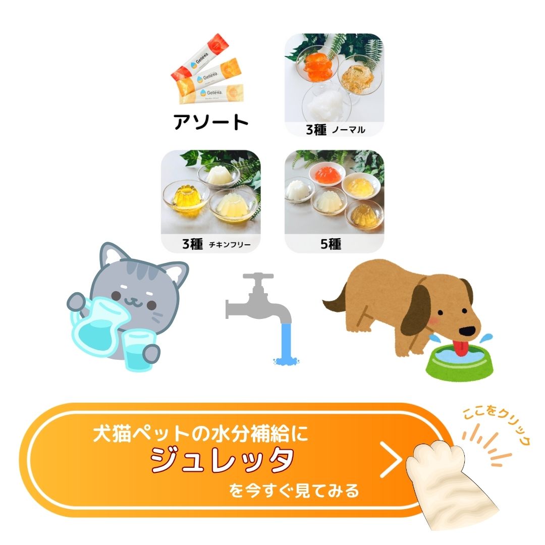 犬猫の水分補給ゼリー「ジュレッタ」