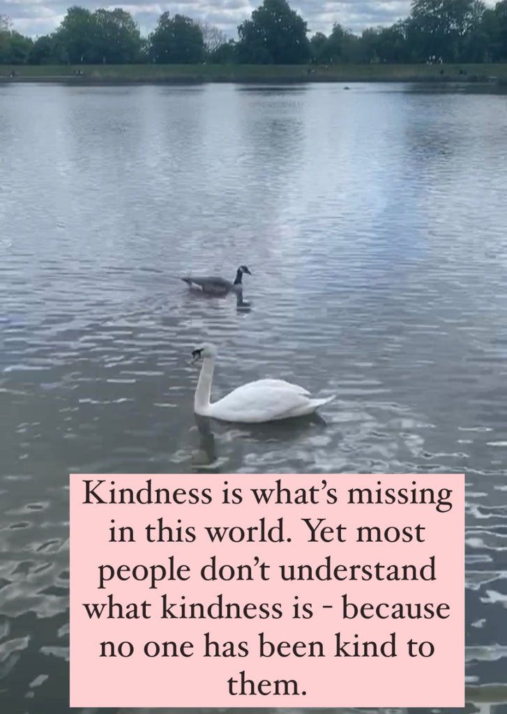 swans in the pond and a caption about kindness