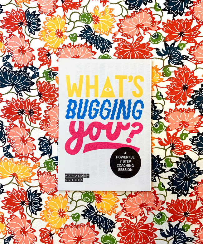 Floral background - cover of What's Bugging You? Mapology Guide
