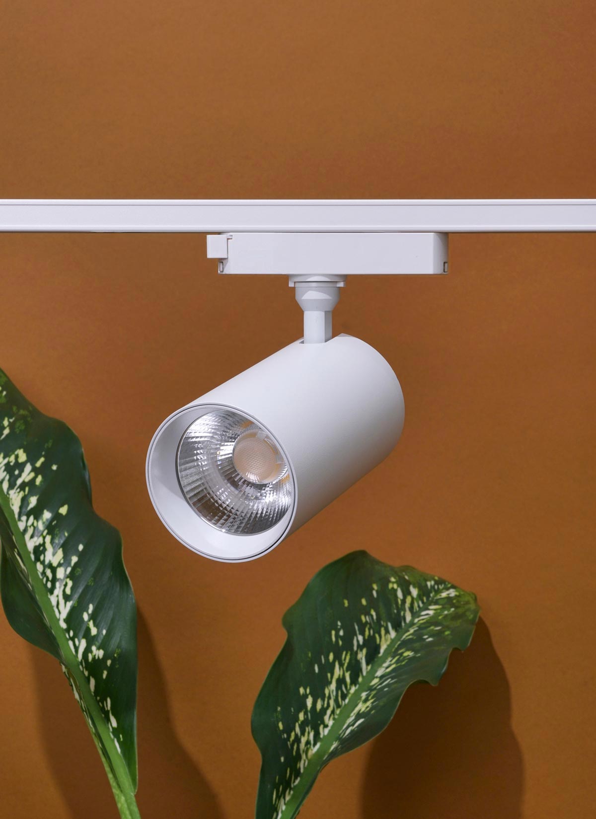 Highland™ LED Track Light System