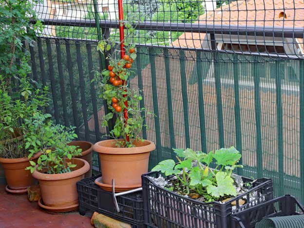 jardin sur balcon