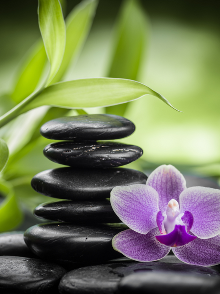 A Gazillion Ways to Create a Zen Meditation Garden - Salisbury Greenhouse -  Blog
