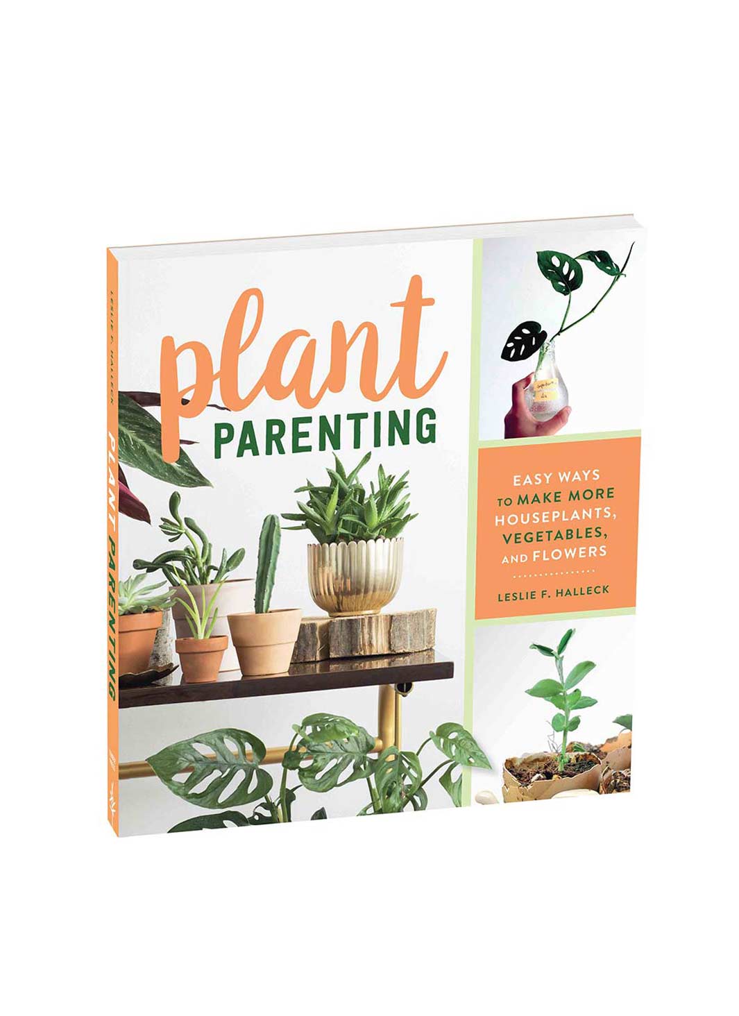 These 7 Plant Moms Will Inspire You To Strengthen Your Green Thumb