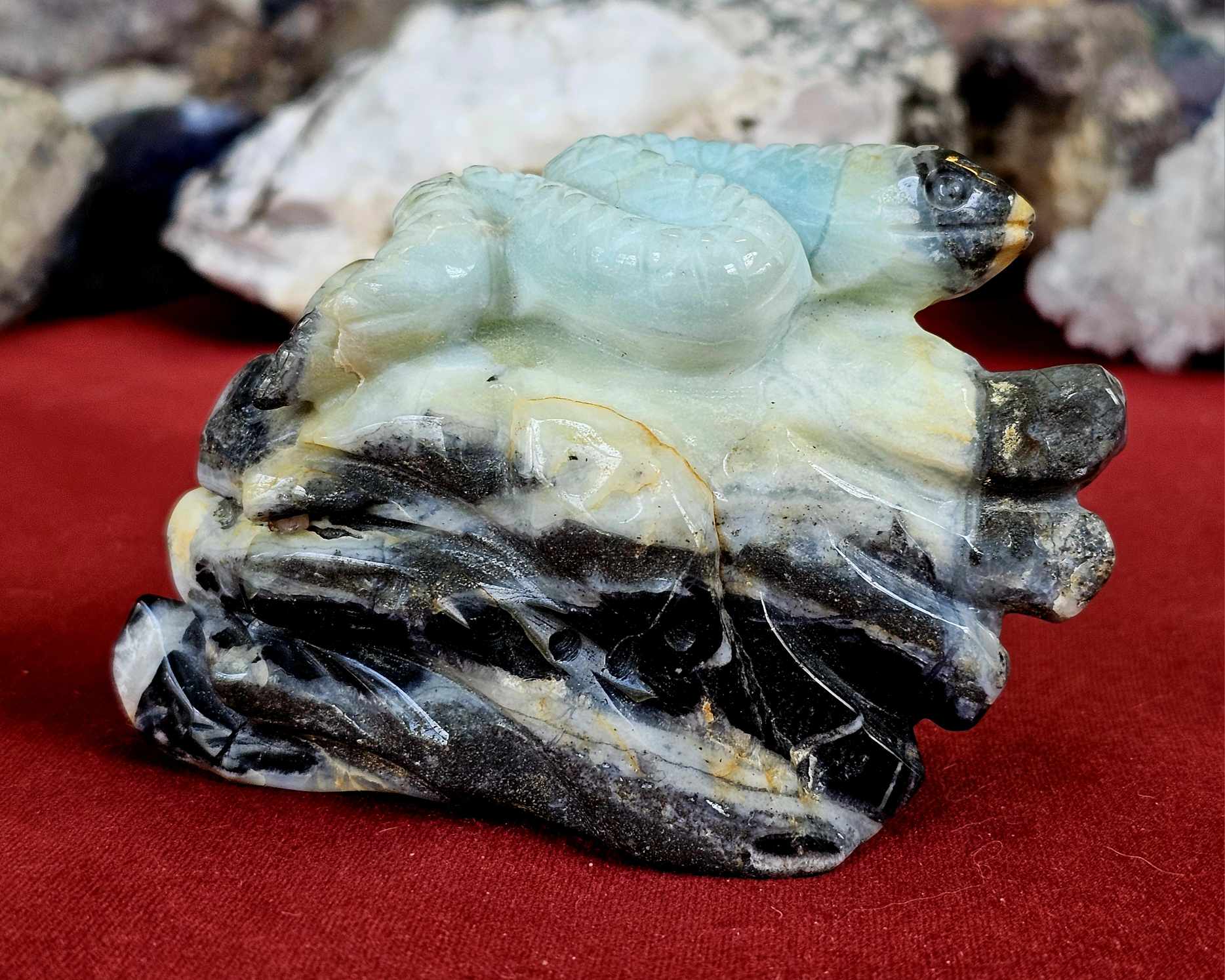 LG. Caribbean Calcite Crystal Eel on Rock 🌊🐚🪸