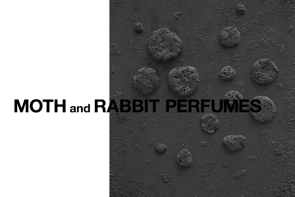 Berlin_Niche_perfume_Moth_Rabbit