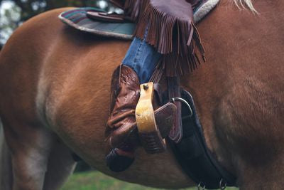 Western boots 3 - elegant and classy