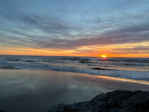 Vedersø Klit ved solnedgang