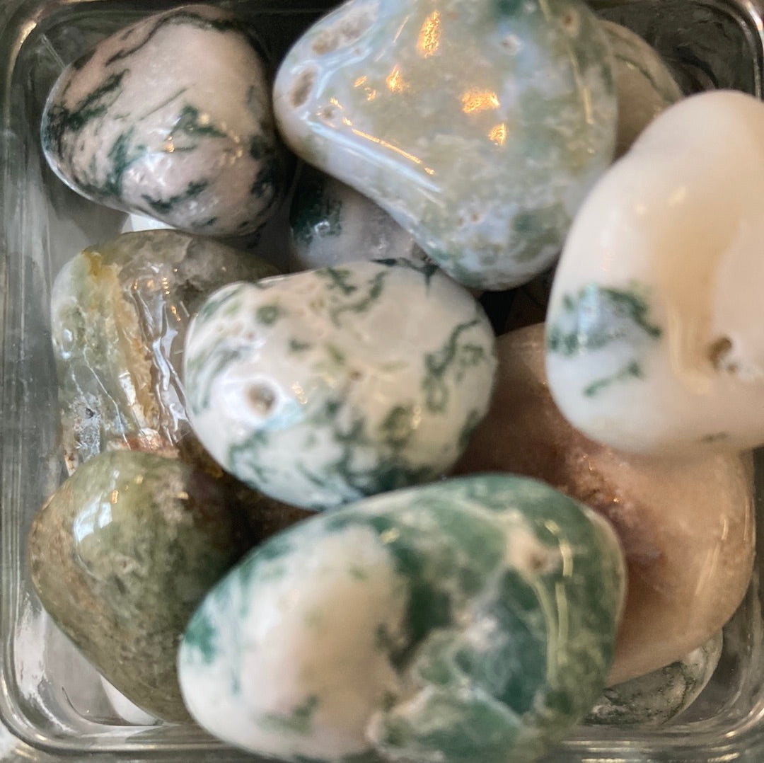 Tree Agate - Tumbled