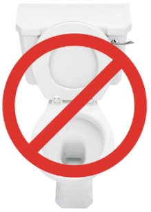 don't flush down toilet