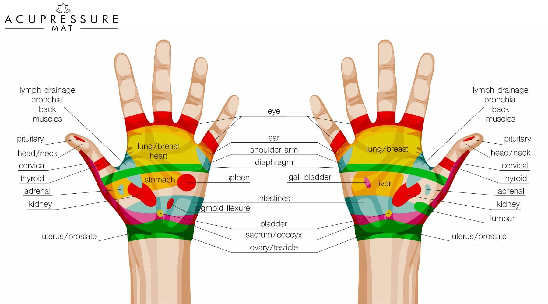 hand acupressure points