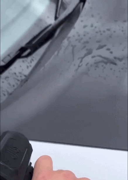 leafy text-gif-5.gif__PID:fd95b3a8-c18c-4a98-84a5-28fd8ad6cdd1