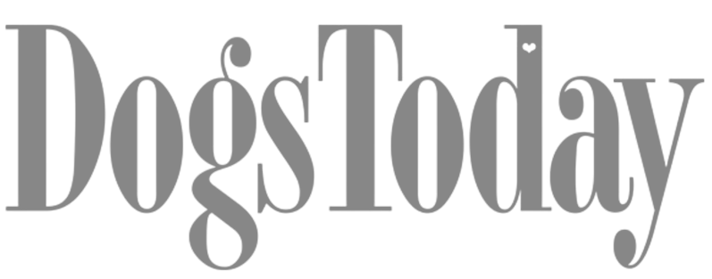 puppinpoint-06.webp__PID:4637c916-498d-4a40-bd00-77d0df8435f7