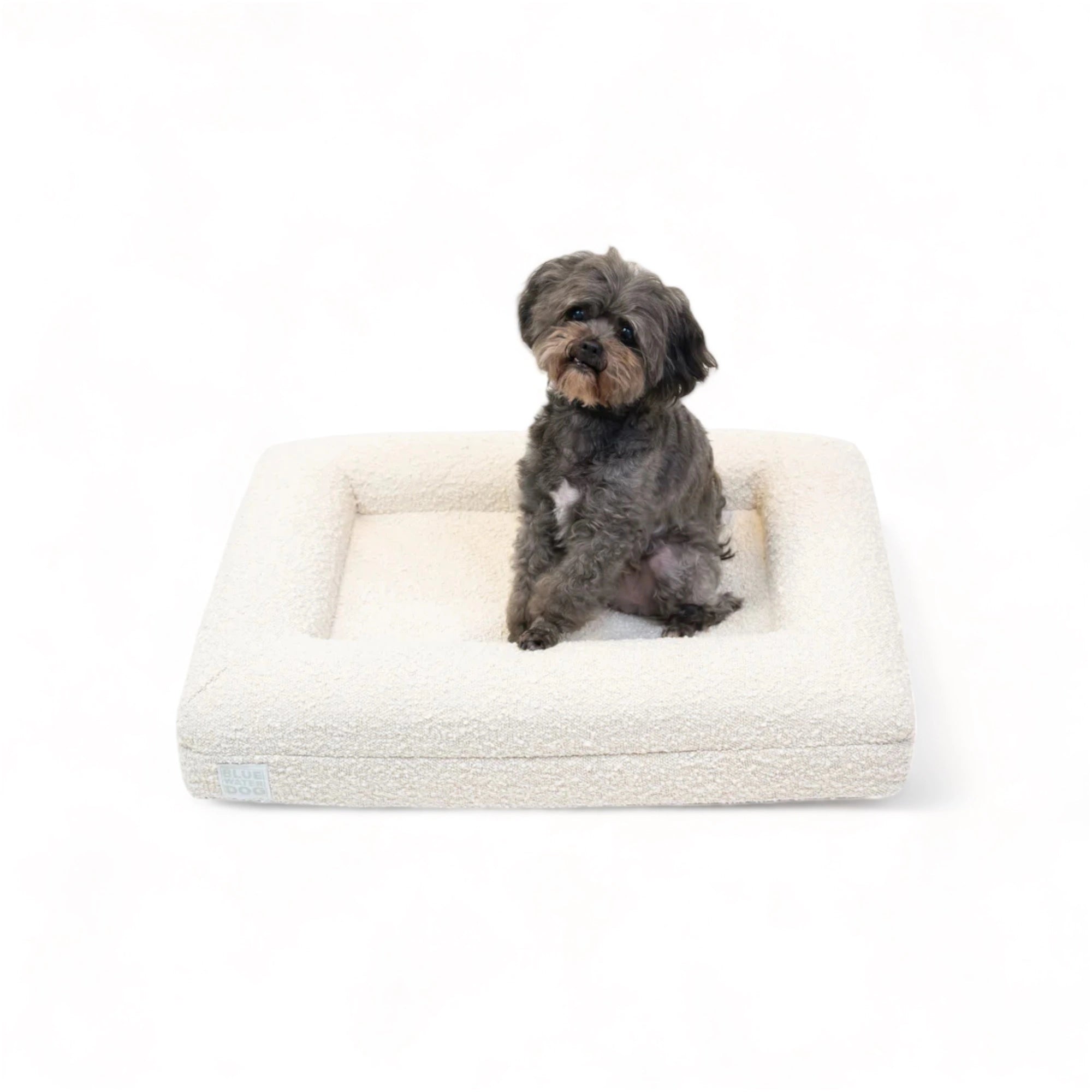 Small Luxury Bouclé Orthopedic Bluewater Dog Bed (Cloud)