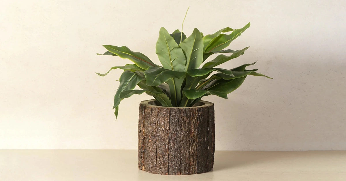 Wooden Planters