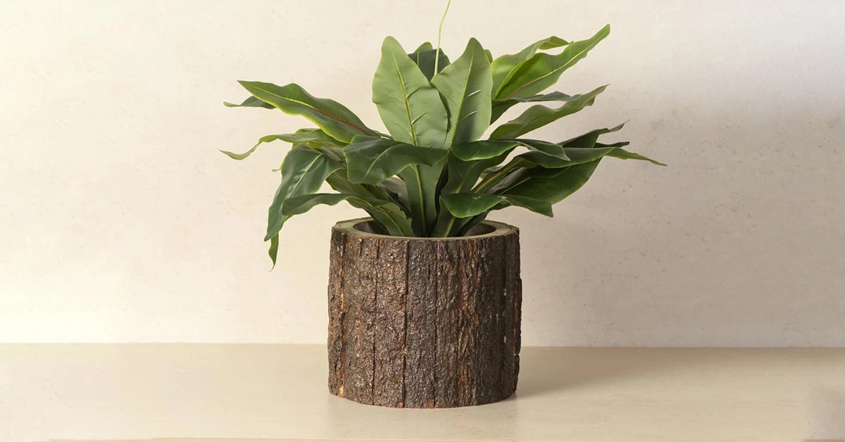 Wooden Planters