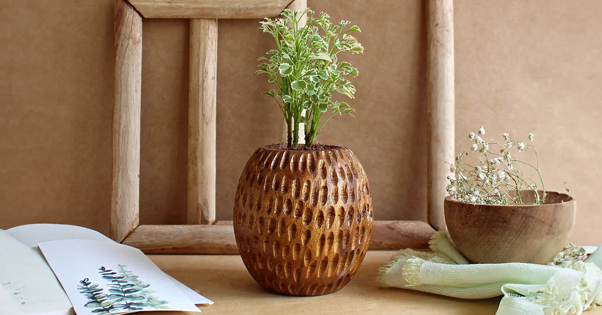 Herb Garden with Small Pots