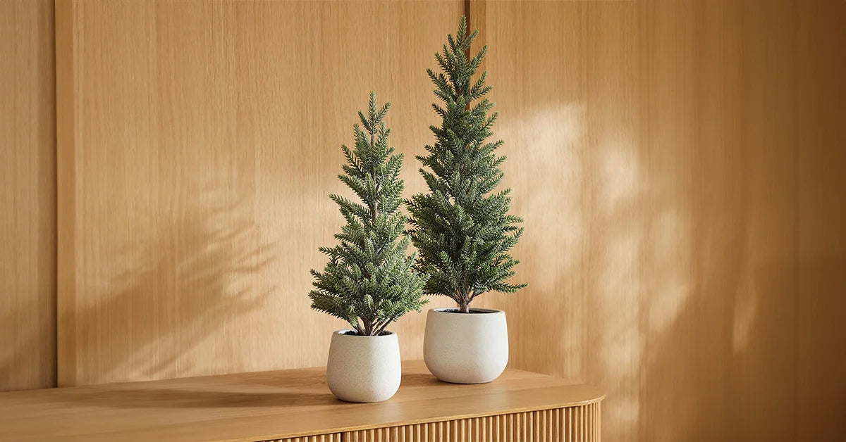 planter pots