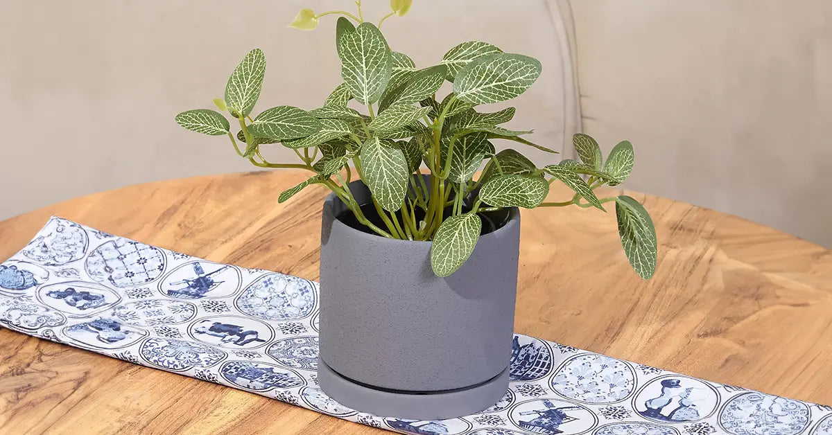 Ceramic Pots for Plants
