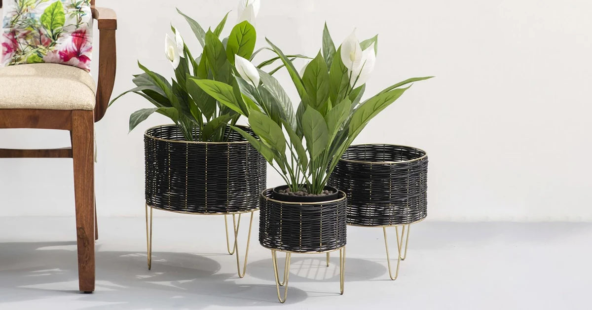 handmade cane planters set