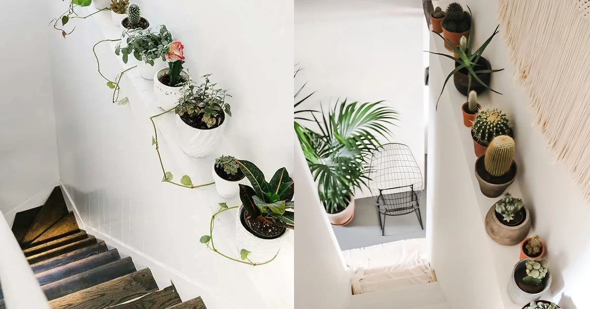 Plant Pots on Stairs