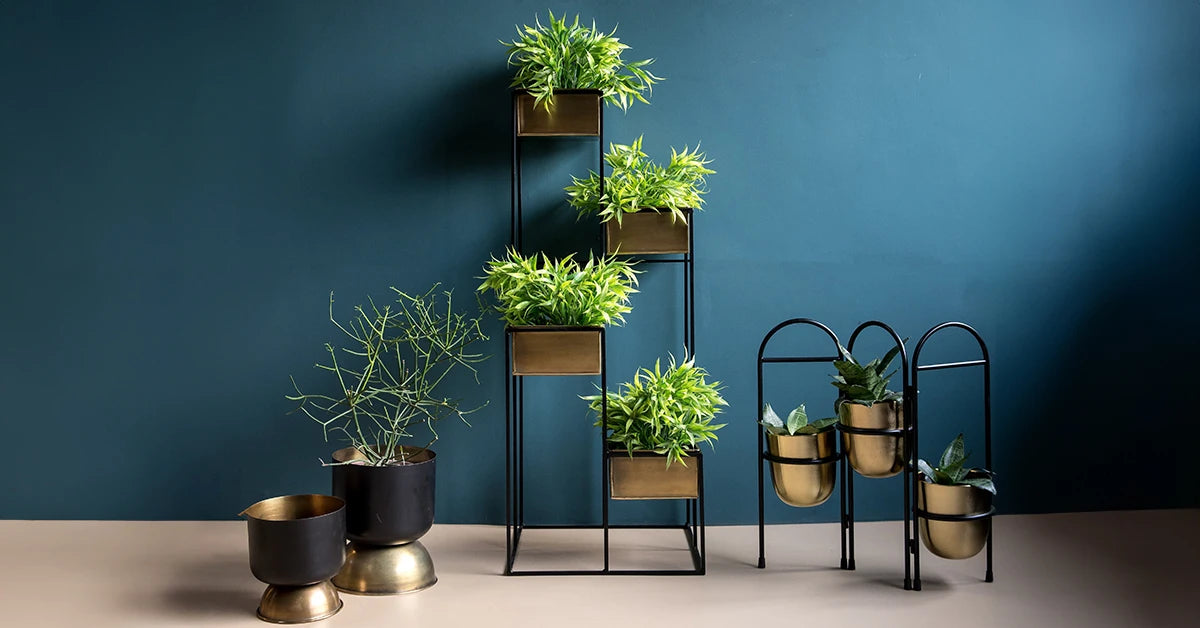 Add Indoor Plants to Your Winter Home Decor