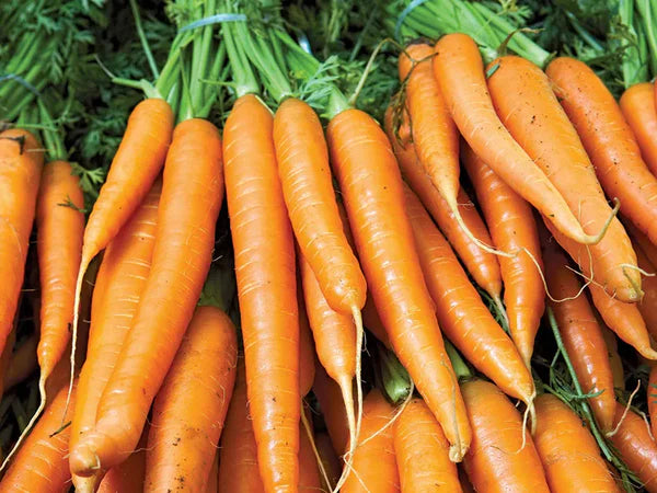 Recette de frites de carotte