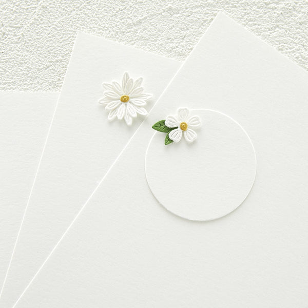 Brushed White Cardstock - 8.5 x 11 Cardstock from the Sealed By Spell -  Spellbinders Paper Arts