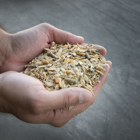Close-up of a farmer's hand holding cattle feed