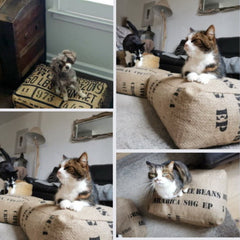 Pet Beds for your Dogs & Cats - Made from 100% Hessian Coffee Sacks