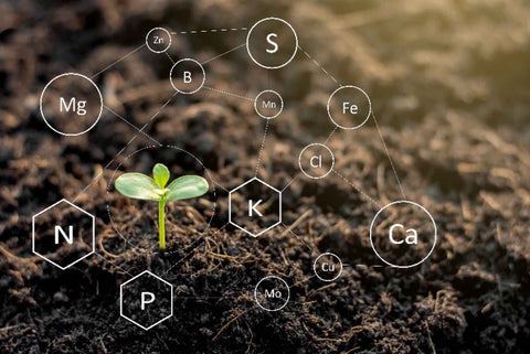 Soil Depletion