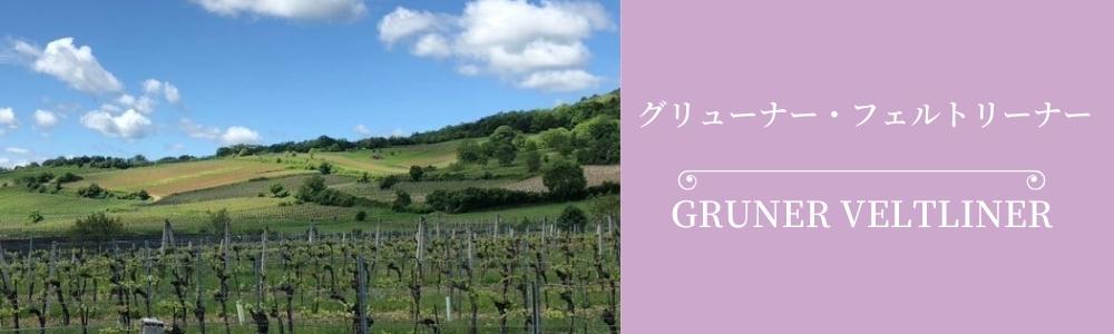 Gruner Veltlinerグリューナー・フェルトリーナー オーガニックワイ ワインブリッジ wine-bridge オーストリアワイン　ビオbioワイン有機栽培にこだわる