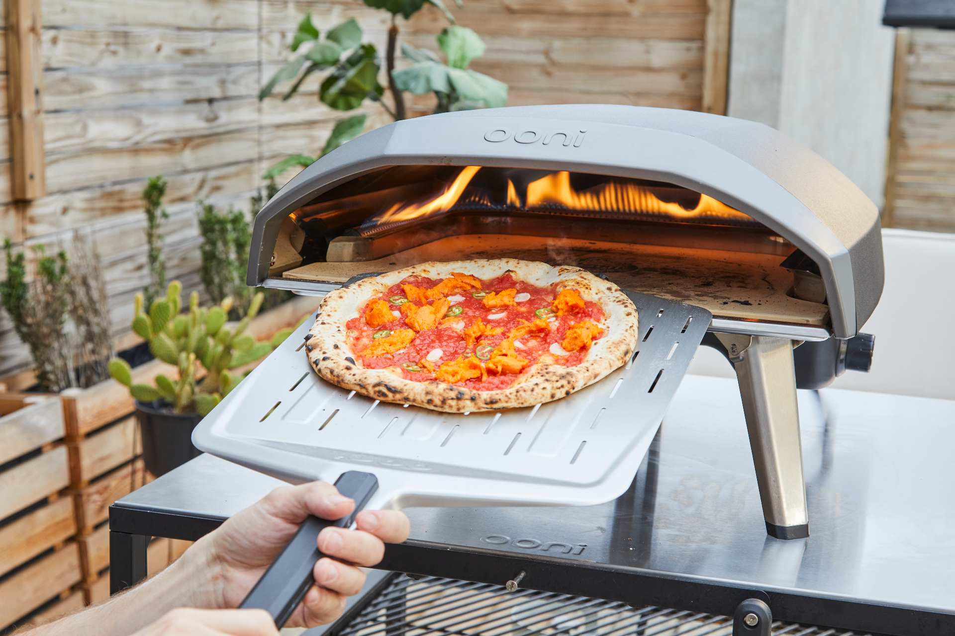 Harissa-spiced Sweet Potato Pizza