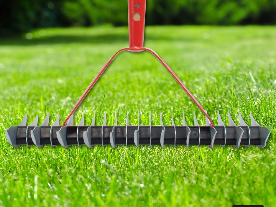 What is Scarifying your lawns? – Atlas Trade NZ