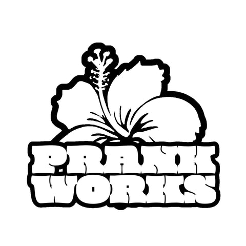 PRANK WORKS【ハイビスカス デニムパンツ】