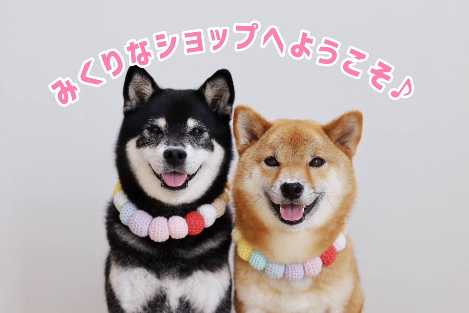 柴犬みくりな