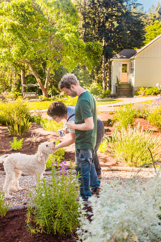 Emily, Austin + Koda