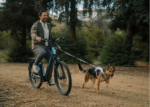 Explore Vanpowers' range of E-Bikes: the Eco E-Bike for the environmentally conscious, the Convenient E-Bike for effortless commuting, and the Recreational E-Bike for fun and adventure, each designed to enhance your lifestyle uniquely.