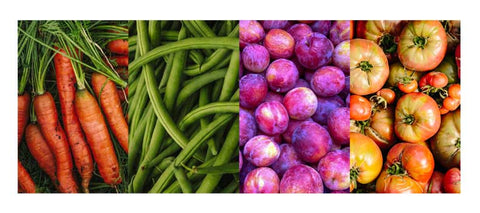 Harvest Collection collage: bright orange carrots fresh from the ground, green beans, purple plums and rustic green and red tomatoes.