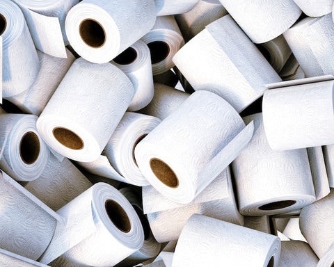 rolls of toilet paper