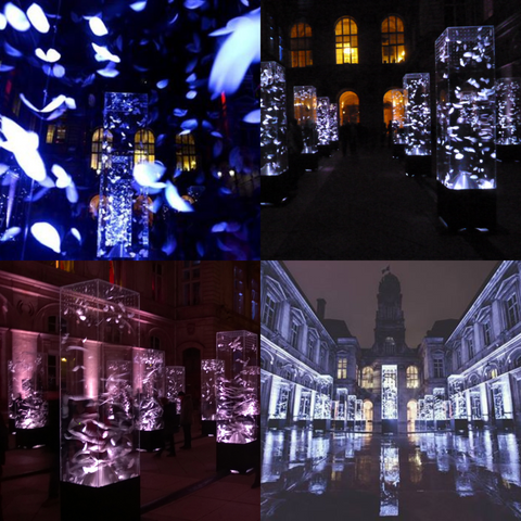 fete des lumieres lyon